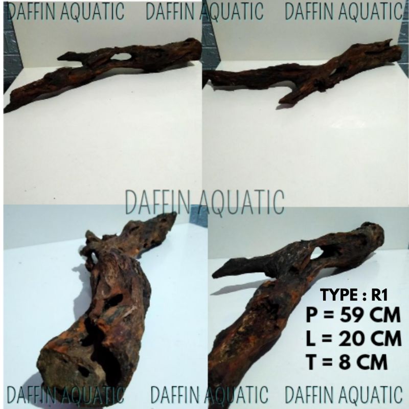 Kayu Rentek Aquascape