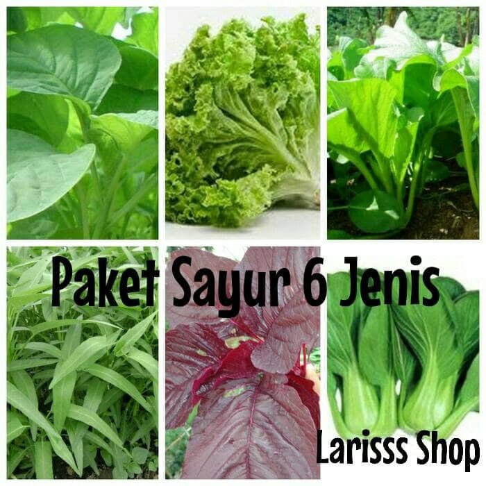 [Bibit] Benih / Bibit / Biji Sayur Hidroponik Paket Isi 6 Macam Sayur