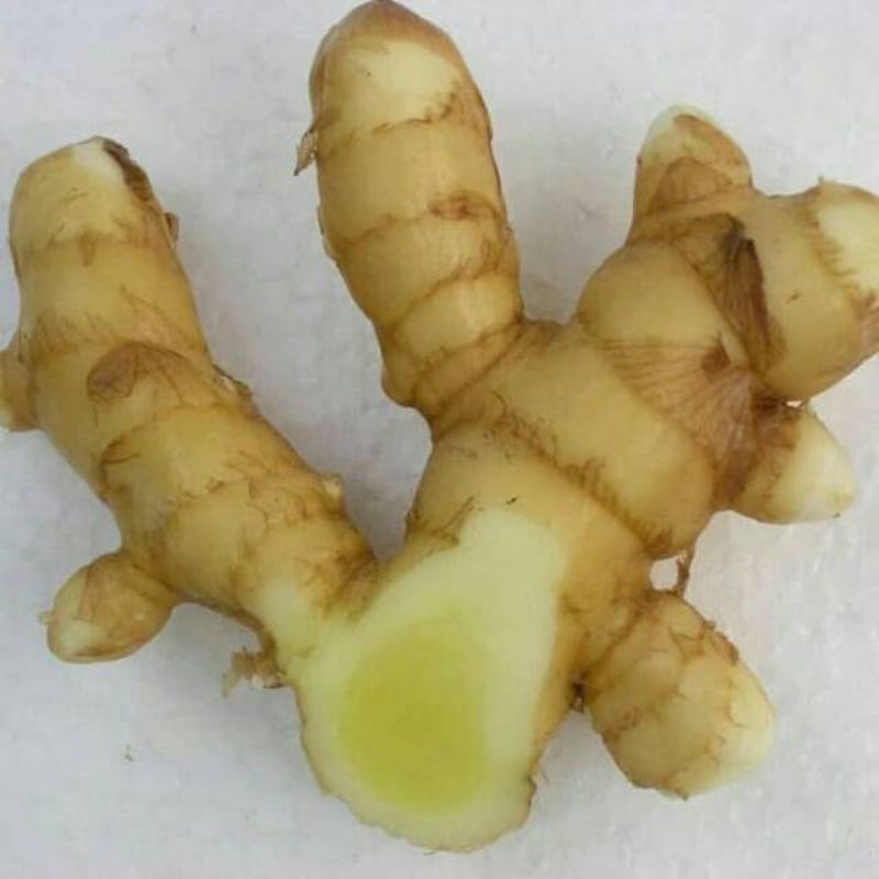 

herbal fresh kunyit putih 500gr