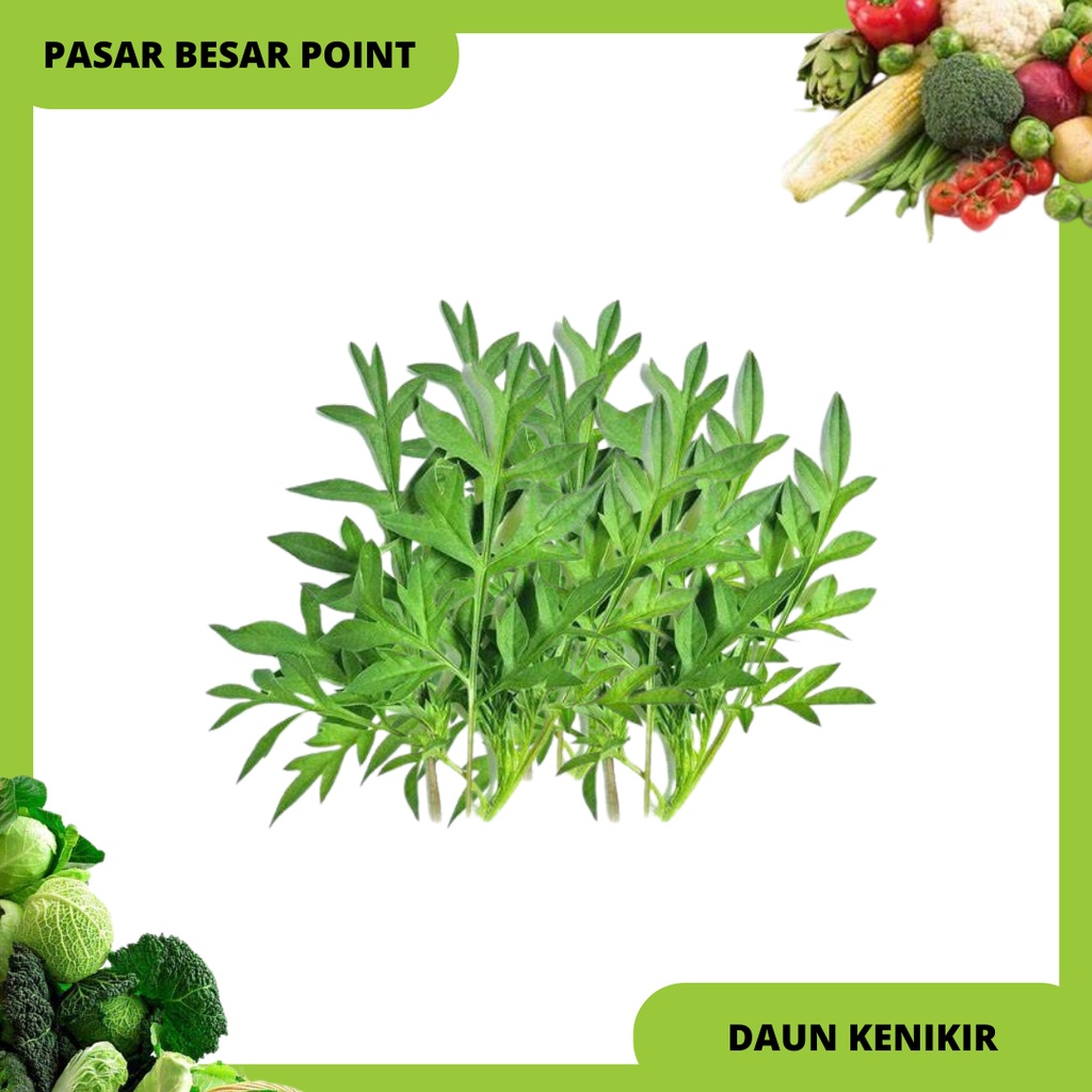 

sayur kenikir