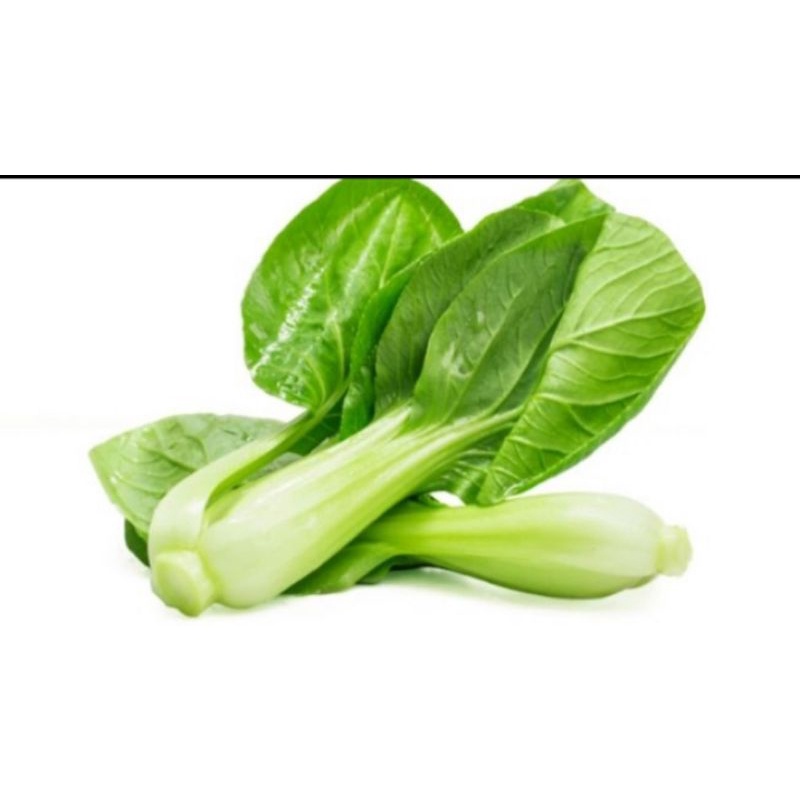 

sayur pakcoy 250gr