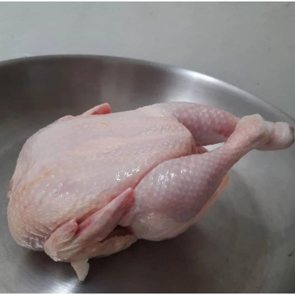 

AYAM NEGRI KECIL - 700 Gram