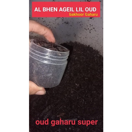 dupa super gaharu kasturi 50gr bakhor gaharu terbaik ⭐⭐⭐⭐⭐ by alattas oud