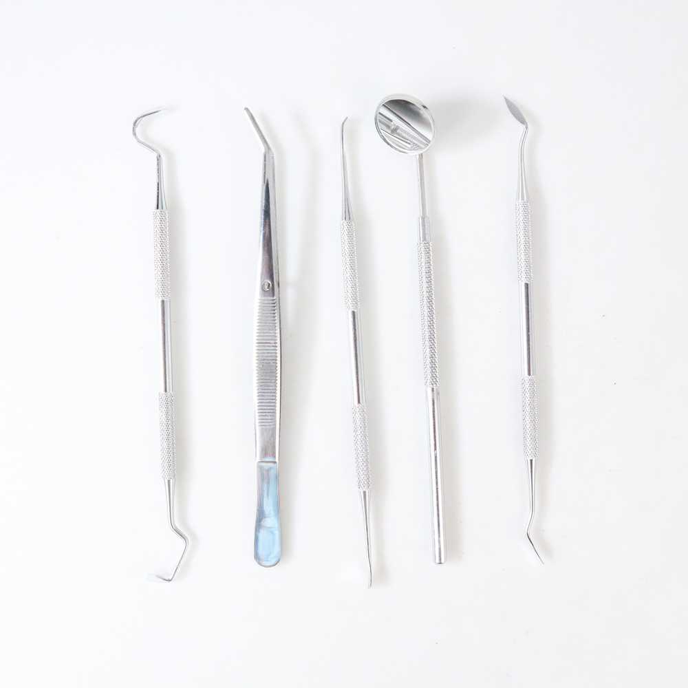 Set Alat Cek Periksa Gigi Dokter Oral Diagnostik 5in1