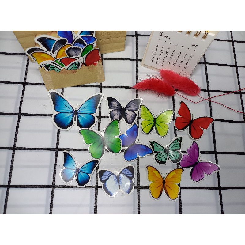 

Butterfly big to medium sticker
