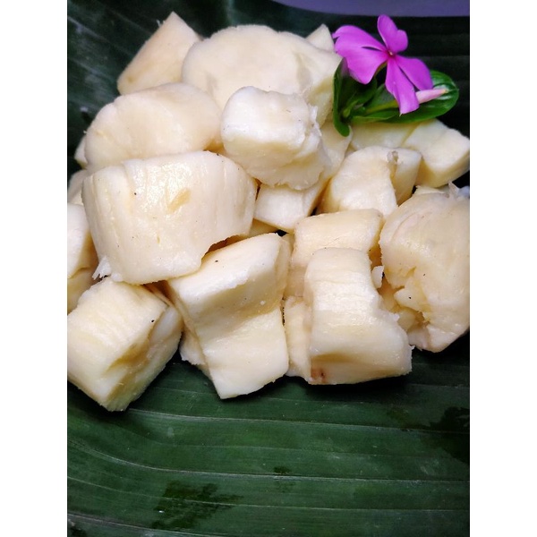 

Tape Singkong Original Bu Damirah