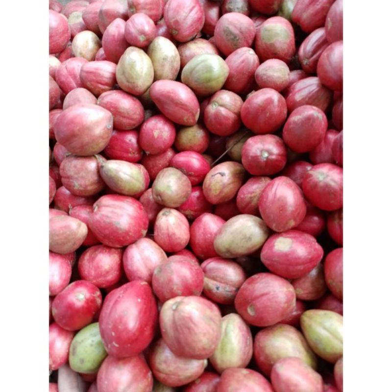 

Buah mahkota dewa segar 500 gram