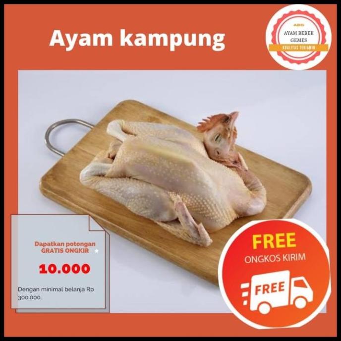 

PROMO AYAM KAMPUNG 1.2 KG HEMAT MURAH BEST SELLER F5464RY