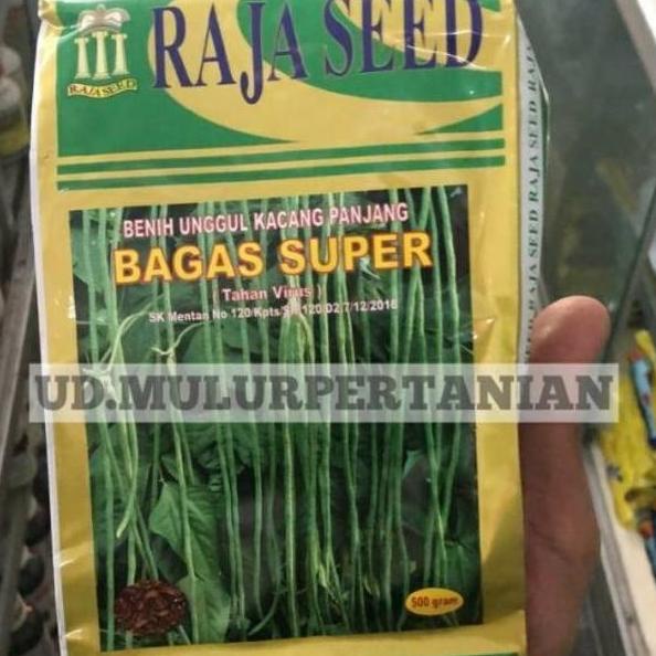 Benih kacang panjang BAGAS SUPER tahan virus dr Raja seed isi 500gram Qink