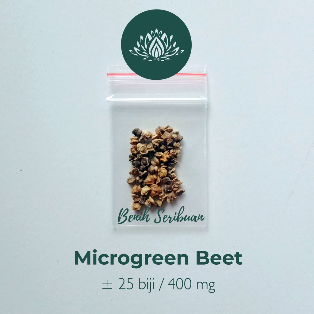 Benih Seribuan - 25 Bibit Microgreen Beet Organik Unggul