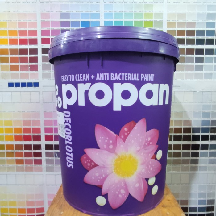 Jual CAT TEMBOK PROPAN DECORLOTUS WHITE-9101 20L INTERIOR | Shopee