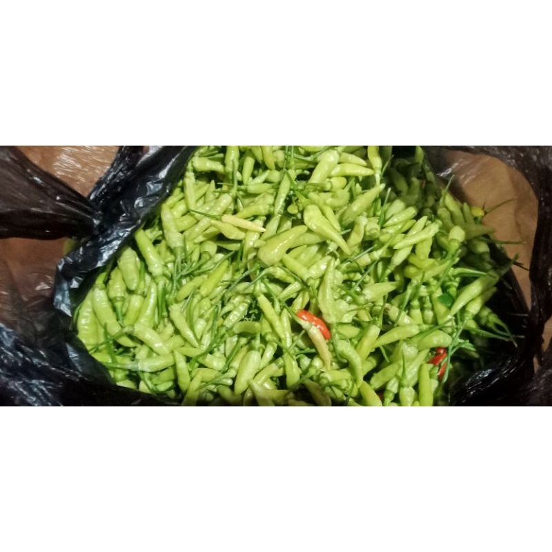 

Cabe Ijo, merah fresh dari pohon