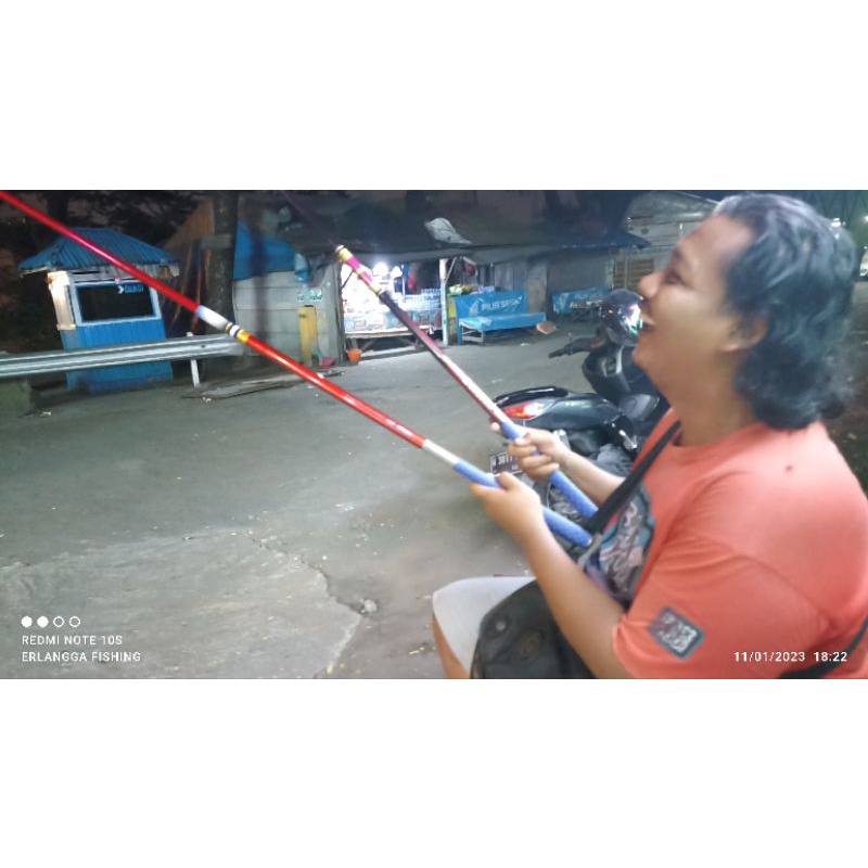 Borongan maguro king cobra SGM