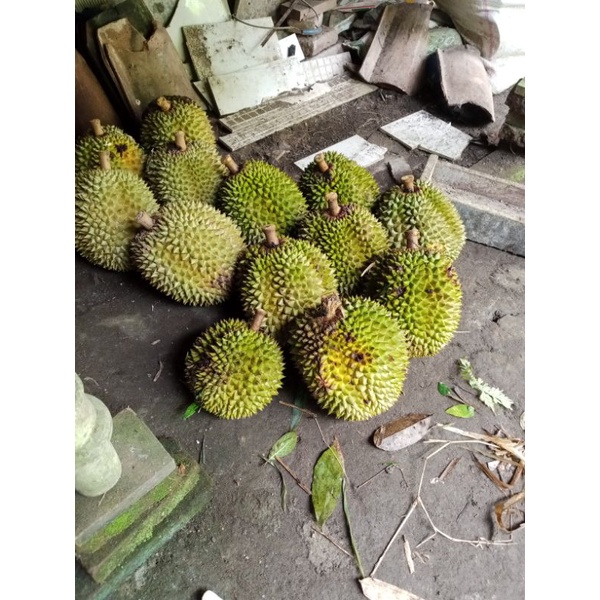 

link durian