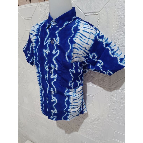 BATIK LENGAN PENDEK/BATIK PRINTING WARNA BIRU/BAJU BATIK LENGAN PENDEK/BATIK SERAGAM SEKOLAH