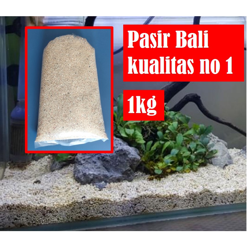 PASIR BALI MURAH PASIR AQUARIUM PASIR AQUASKAPE 1KG PASIR IKAN HIAS PRESISI