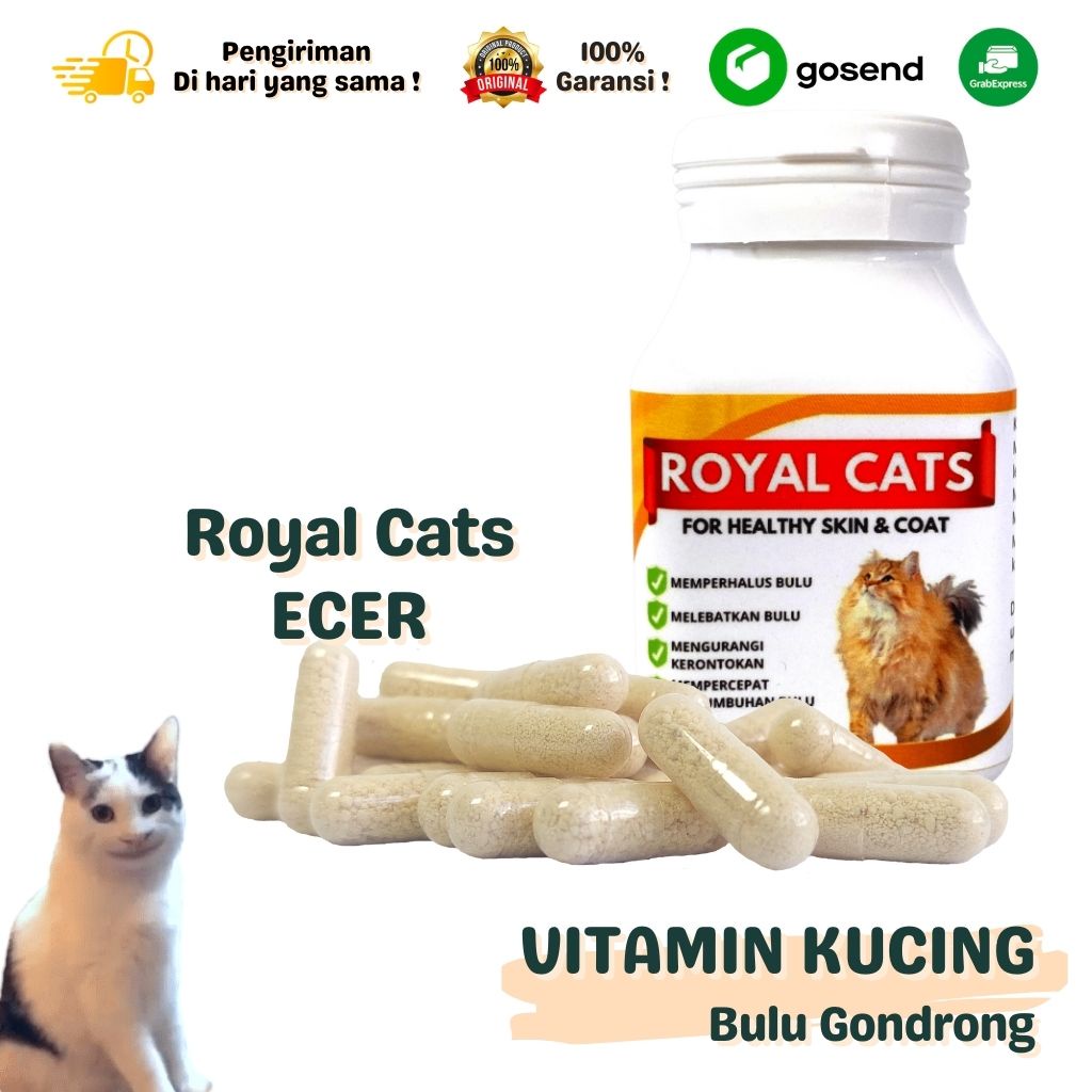 VITAMIN KUCING LENGKAP BULU GEMUK DAN IMUN SUPLEMEN AMPUH BISA SATUAN!