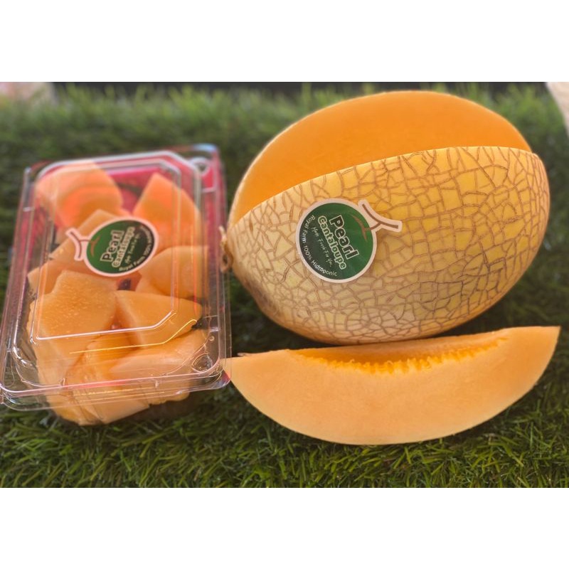 buah melon cantaloupe|melon premium|buah melon|nuri fruits|buah segar|buah segar bandung|buah melon