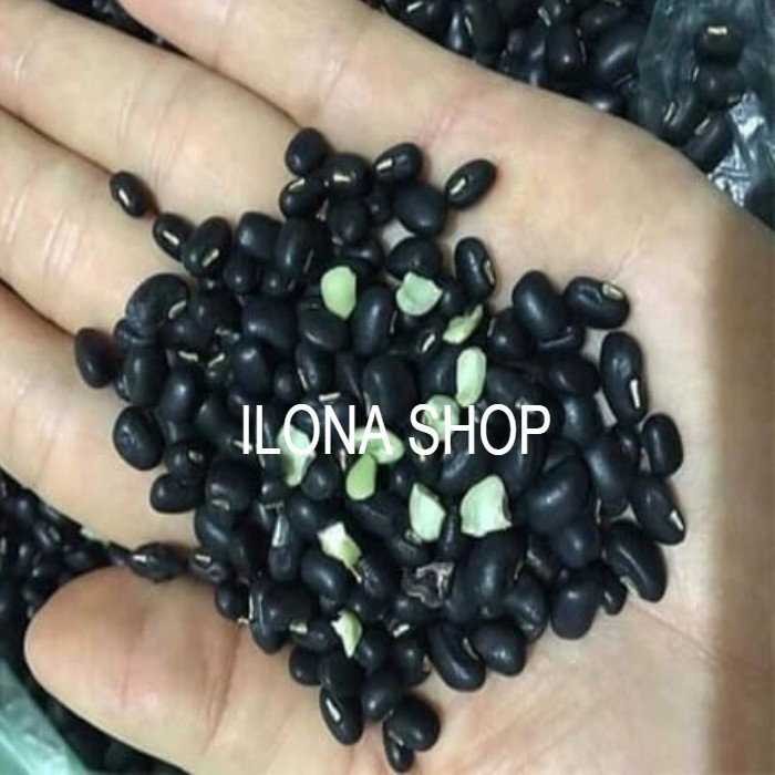 

KEDELAI HITAM KERING SOYBEAN IMPORT 1KG / KACANG KEDELAI HITAM PREMIUM