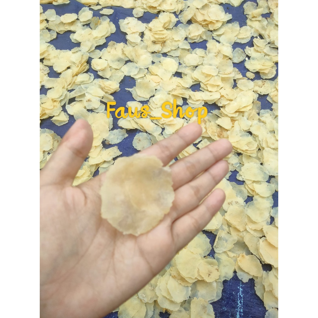 

EMPING MINI MENTAH BERKUALITAS 250 GRAM