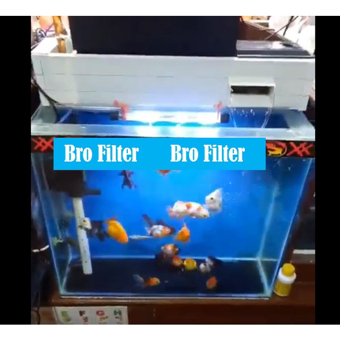 TERJAMINTOP FILTER TALANG 50CM (MODEL AIR TERJUN)