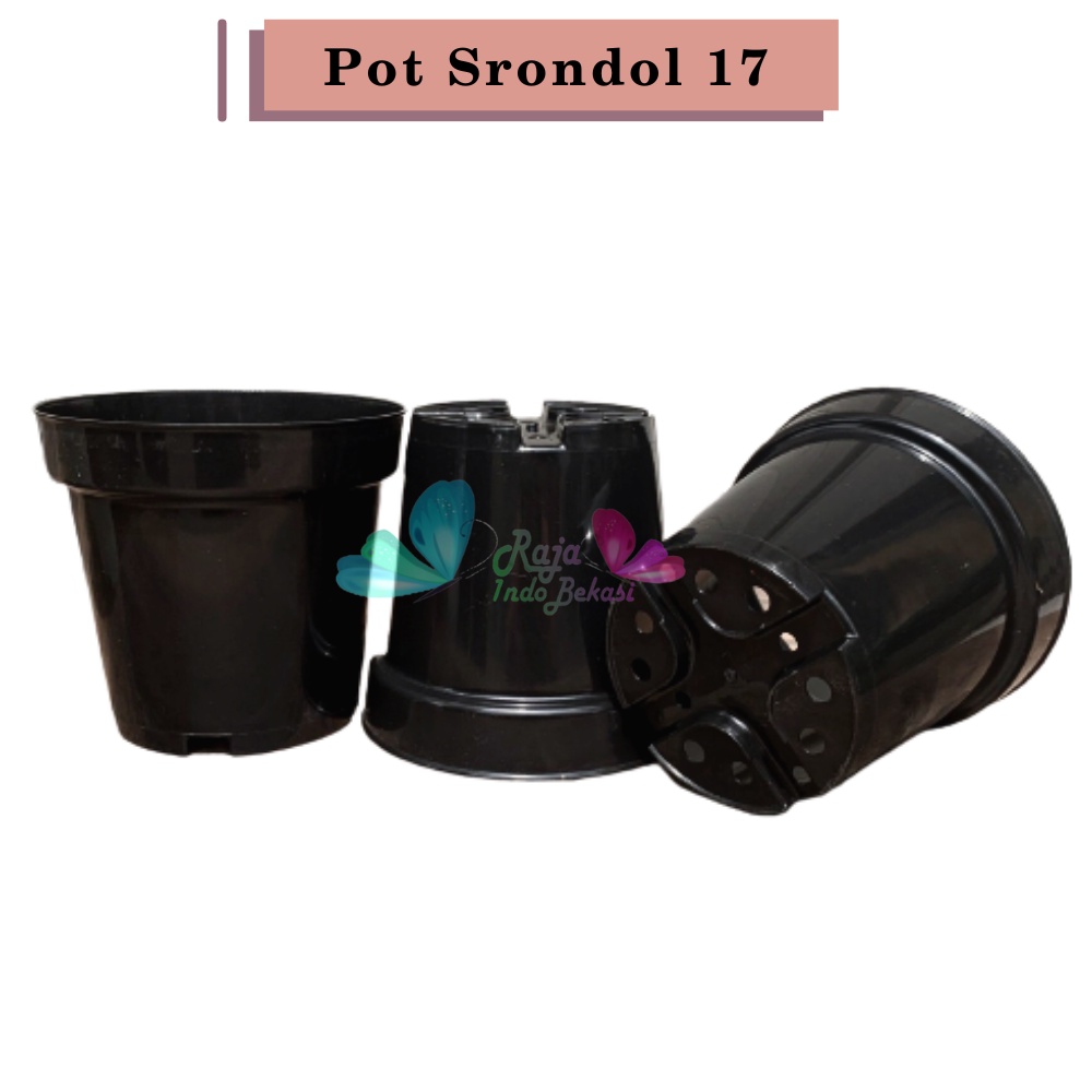 Pot Tinggi Srondol 17 Hitam Mirip Pot Usa Eiffel Effiel 20 25 Pot Tinggi Tirus 10 15 18 20 30 35 40 50 Cm Plastik Besar Hitam Putih Murah