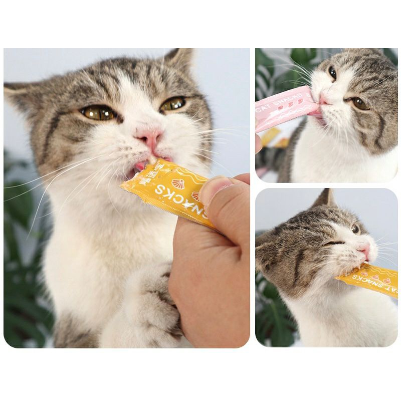 EXOTICGOODS CREAMY SNACK 15g PET CREAMY TREAT SNACK CREAMY KUCING SNACK KUCING SNACK ANJING SNACK SUGAR GLIDER SNACK HAMSTER SNACK CREAMY TREATS WETFOOD