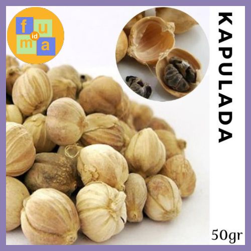 

Kapulada Kapulaga Jawa 50 gr Tanpa Pemutih / True Cardamom / Rempah