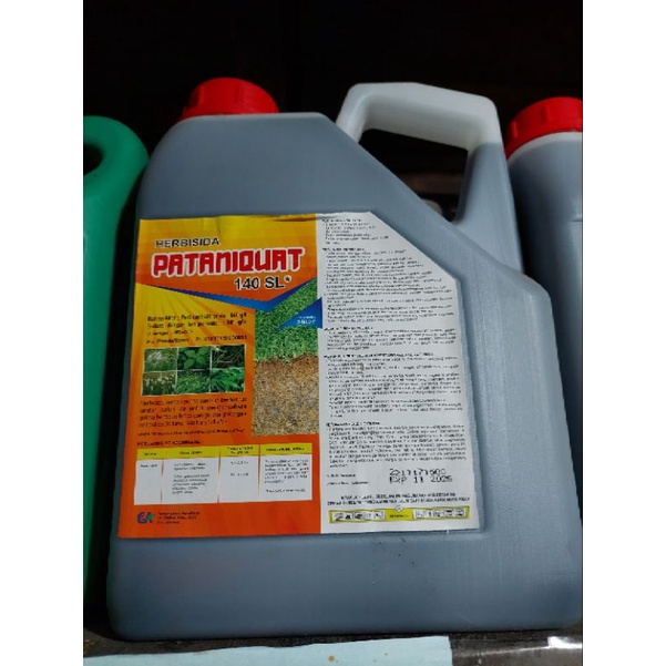 Herbisida Murah kontak Pataniquat 140 SL kemasan 5 liter alang alang sehari kering