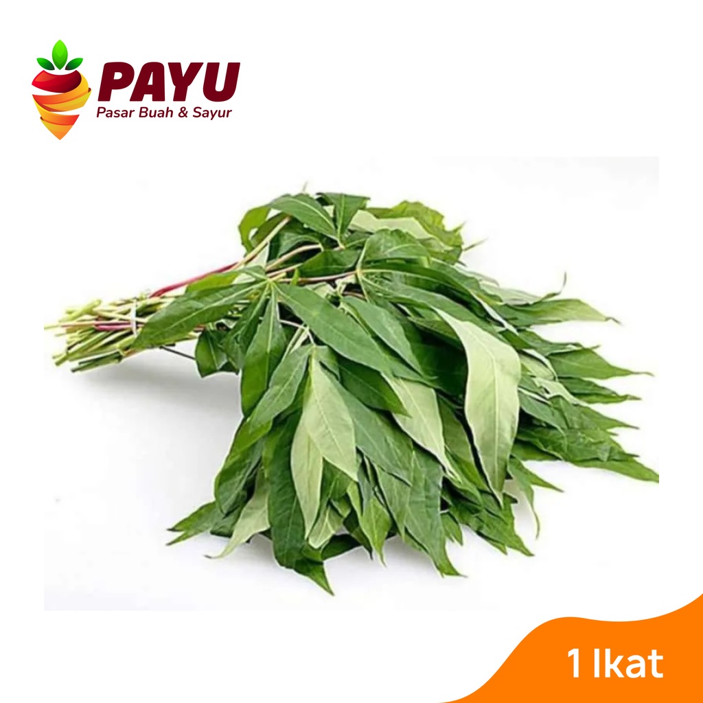 

Daun Singkong 1 Ikat [250 g]