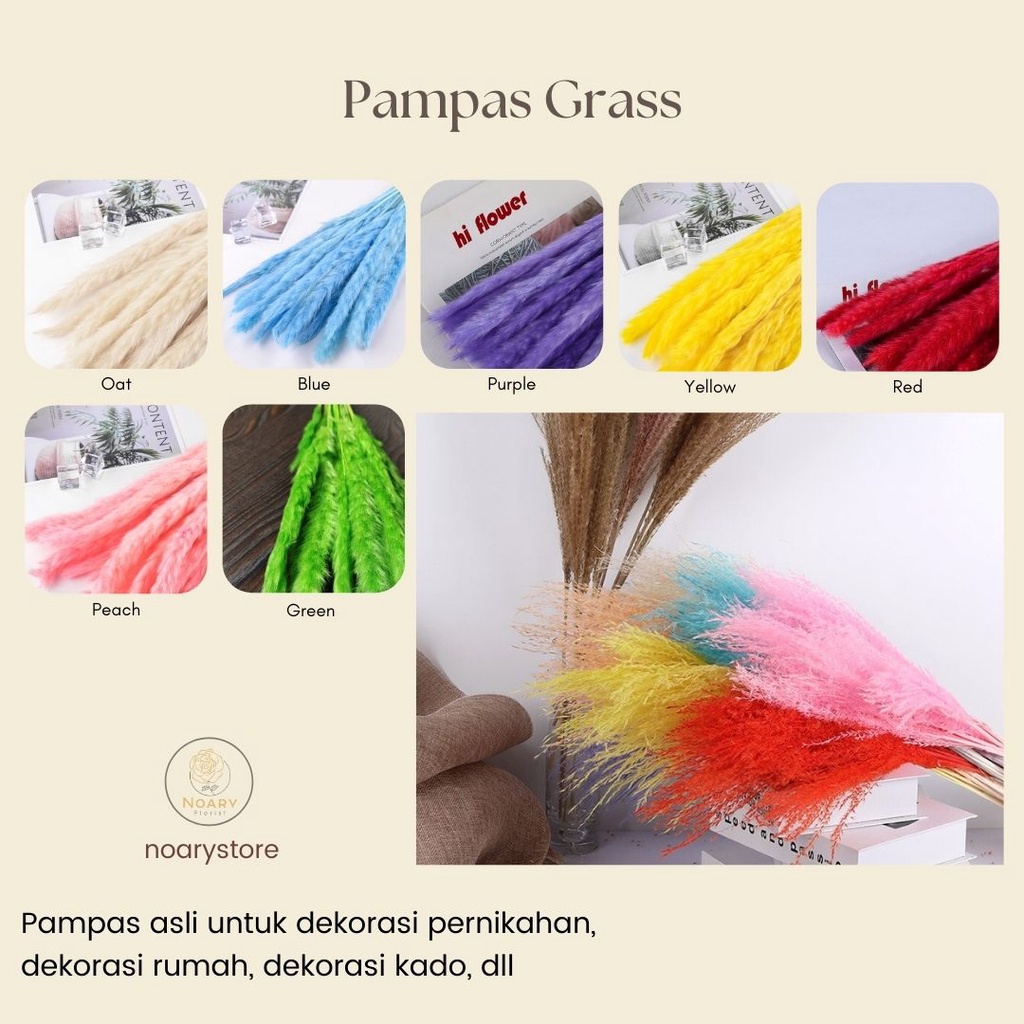 PAMPAS GRASS