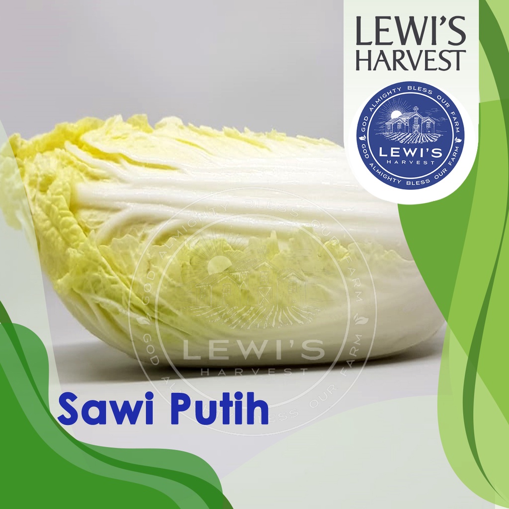 

Sawi Putih fresh