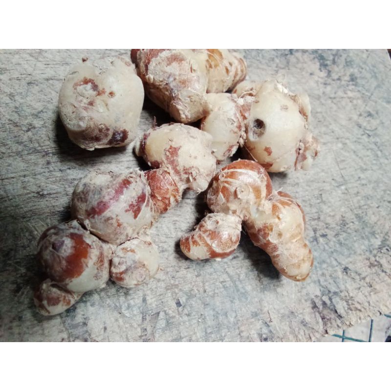 

kencur segar/bumbu dapur/jamu tradisional/500 gr