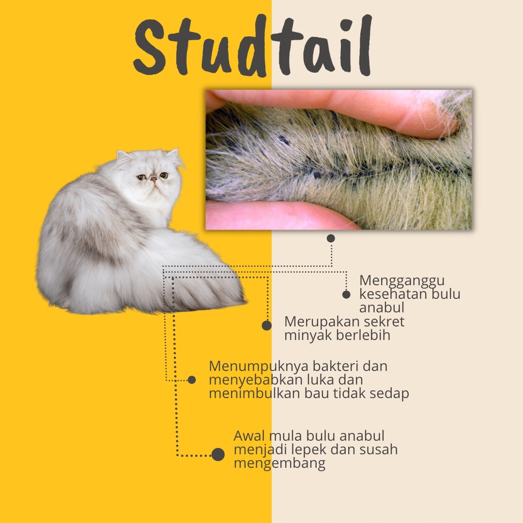 Galaksi_Bumiayu Groom Degreaser Kucing Degreaser Grooming Ukuran 100 Gram