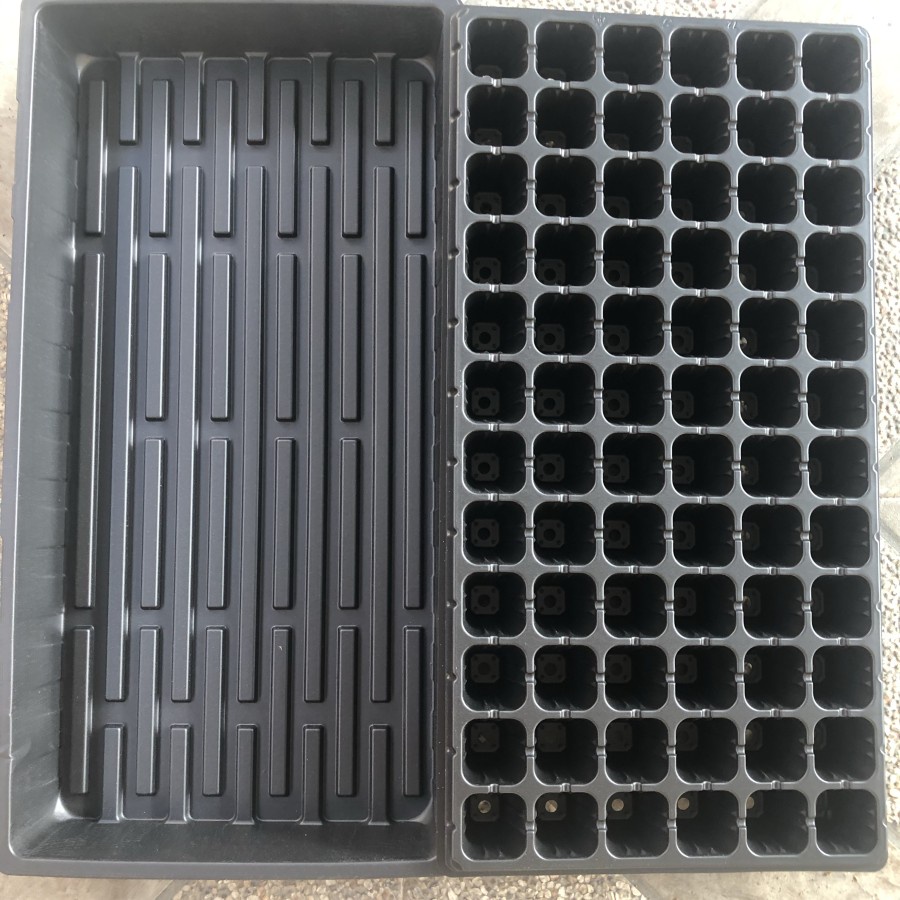 Tray Semai 72 lubang Hidroponik Tanaman
