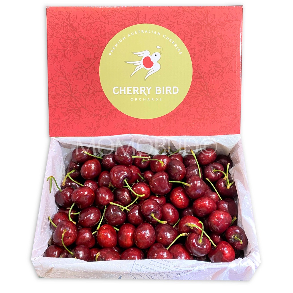 

australian jumbo cherry bird lapin red cherry 1kg / box | buah | sayur | fresh