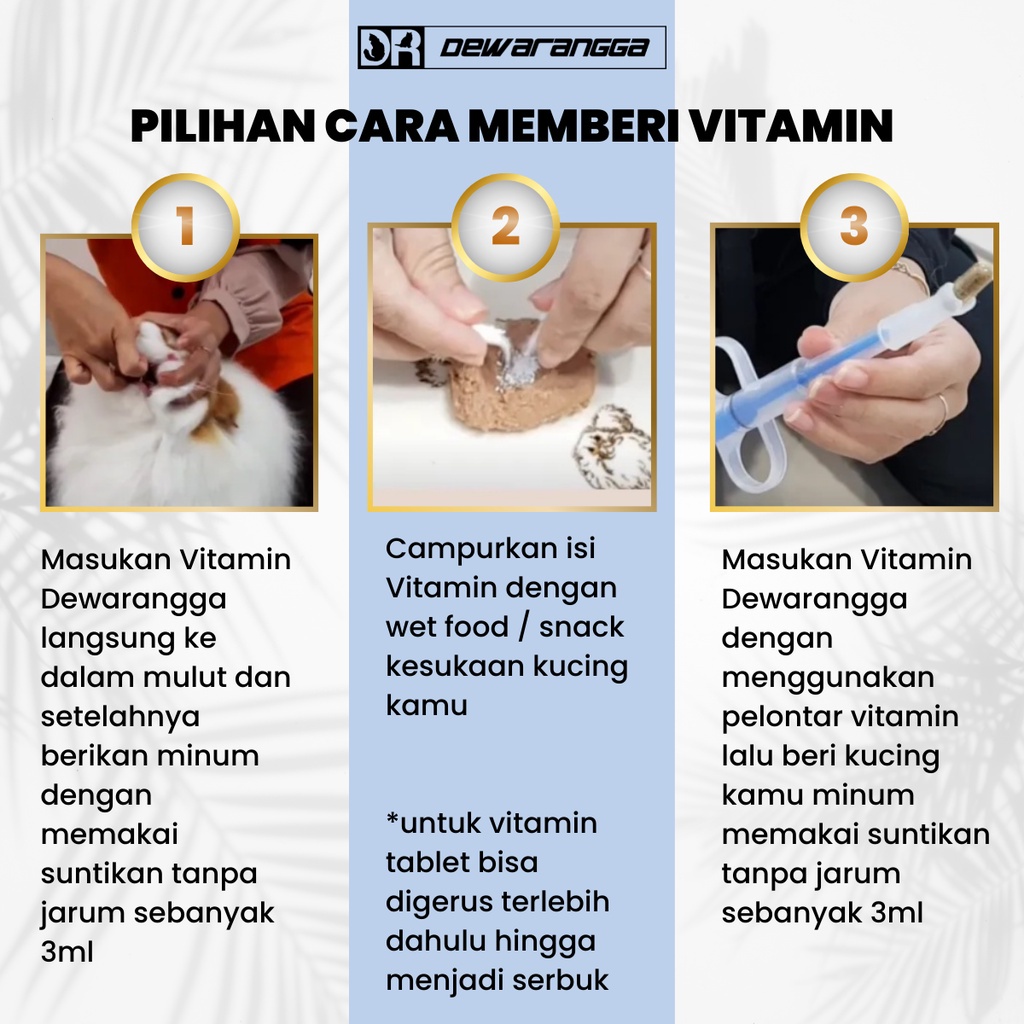 Govis Vitamin Kucing Super Booster Dewarangga - Vitamin Daya Tahan Tubuh Kucing - Vitamin Imun Kucing