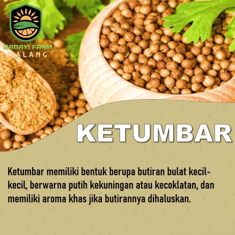 

Ketumbar 100 Gr