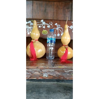 Labu Botol | Hiasan | Koleksi | Drunken master| Zui Quan | Ksatria Lungguh | Bottle Gourd