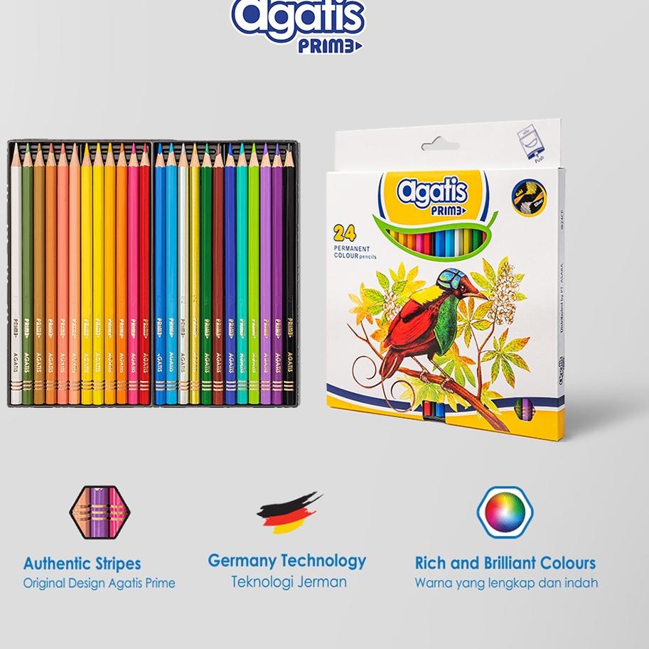 

Berkualitas 바 AGATIS PRIME HEXAGONAL 24C / PENSIL WARNA PREMIUM