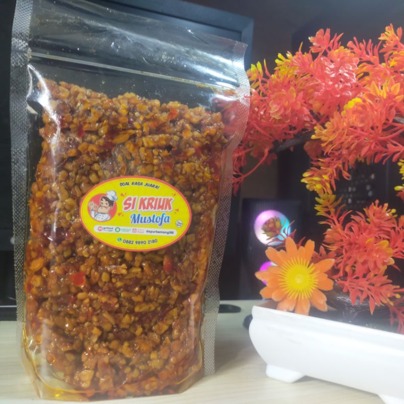 

tempe oreg kering 250 gram