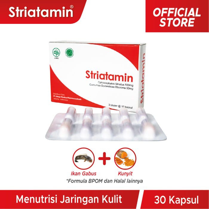 STRIATAMIN 1 BOX @3 STRIP obat penyembuh luka ekstrak ikan gabus