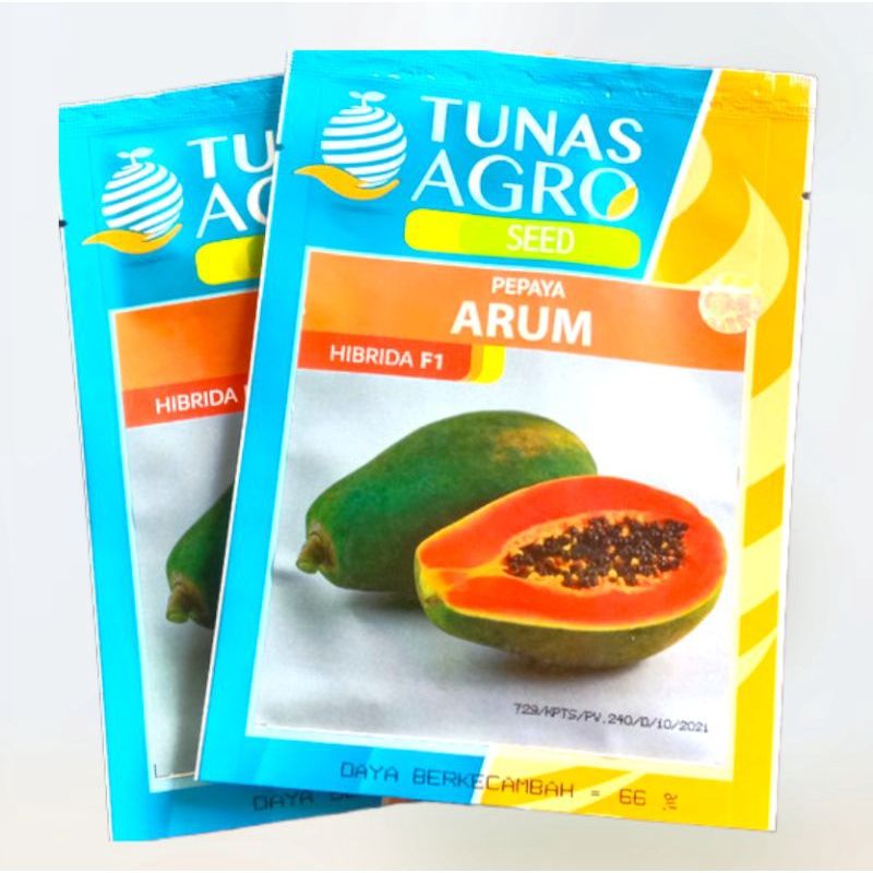 BENIH PEPAYA HAWAI - BIBIT PEPAYA ARUM TUNAS AGRO 1 GRAM
