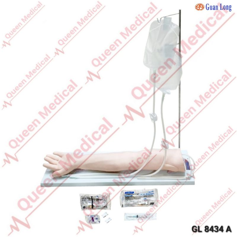 Manekin Lengan Infus/Manekin Phantom Alat Peraga GL 8434A Guan Long