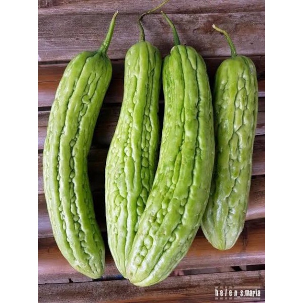 

Sayur Pare