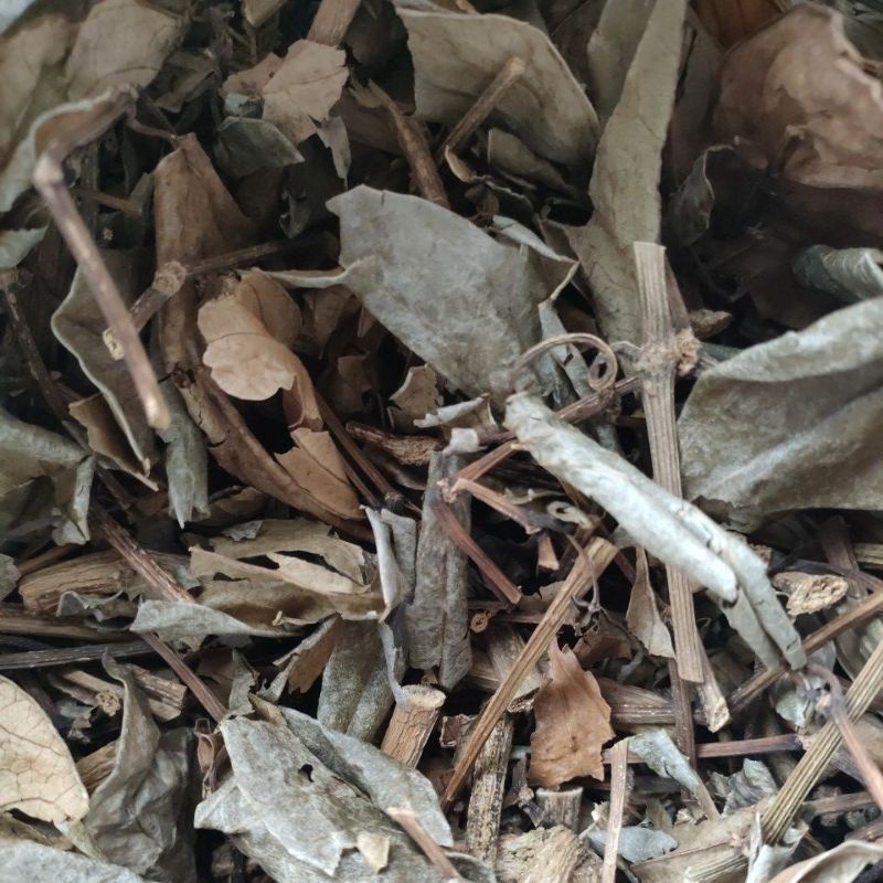 

sirih hijau kering 1 kg