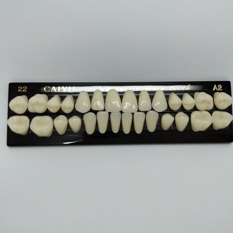 Gigi palsu acrylic caiyu full set atas dan bawah isi 10 per box