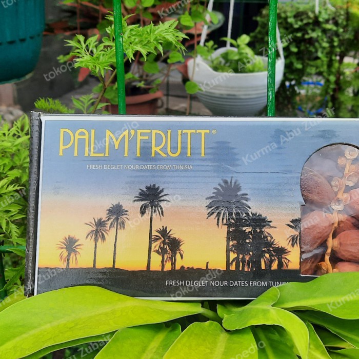 

kurma palm frutt @500gr | kurma tunis | kurma murah