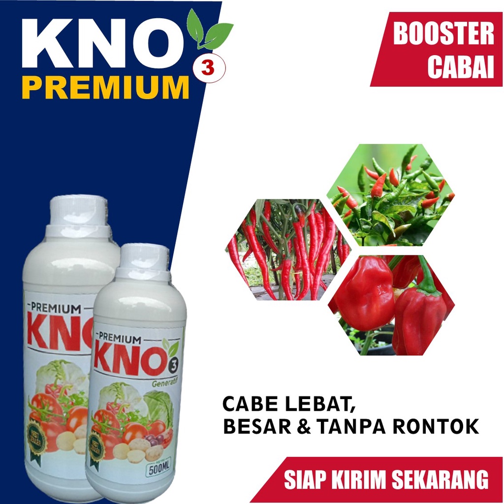 Pupuk KNO3 Premium 500 ML Untuk Cabe Lebih Banyak dan Berbobot Anti Layu dan Hama Penyakit Cabe – Ob