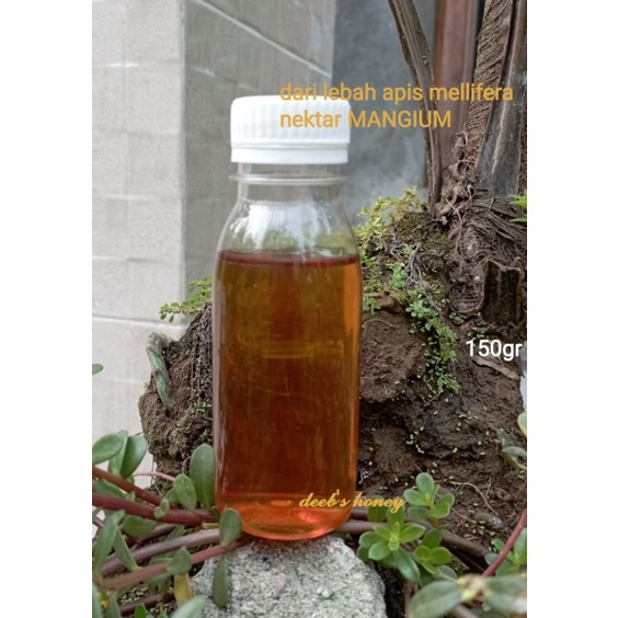 

madu murni Raw honey nektar MANGIUM 150gr